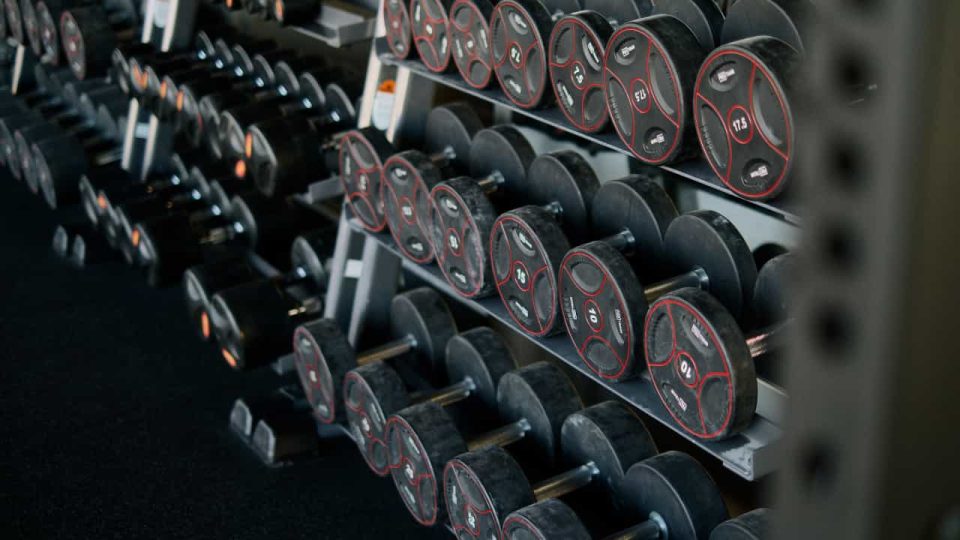 Dumbbells on a rack in the gym